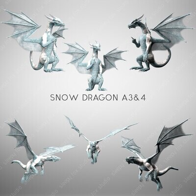 snow dragon A3&4