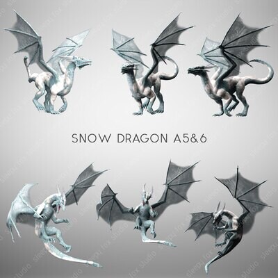 snow dragon A5&6