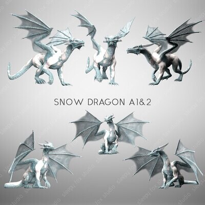 snow dragon A1&2