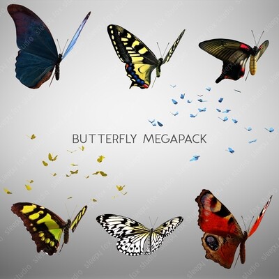 butterfly megapack