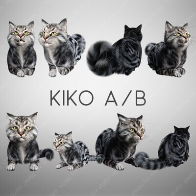 kiko the cat set A-B