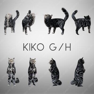 kiko the cat set G-H