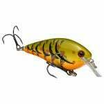 STRIKE KING KVD CRANK BAIT SQUARE BILL 1.5 GRN PUMPKIN CRAW