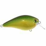 STRIKE KING KVD CRANK BAIT SQUAREBILL 1.5 MM CARAMEL APPLE SHINER