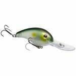 STRIKE KING PRO-MODEL CRANK BAIT 5XD CLEARWATER MINNOW STRIKE KING PRO-MODEL CRANK BAIT 5XD CLEARWATER MINNOW