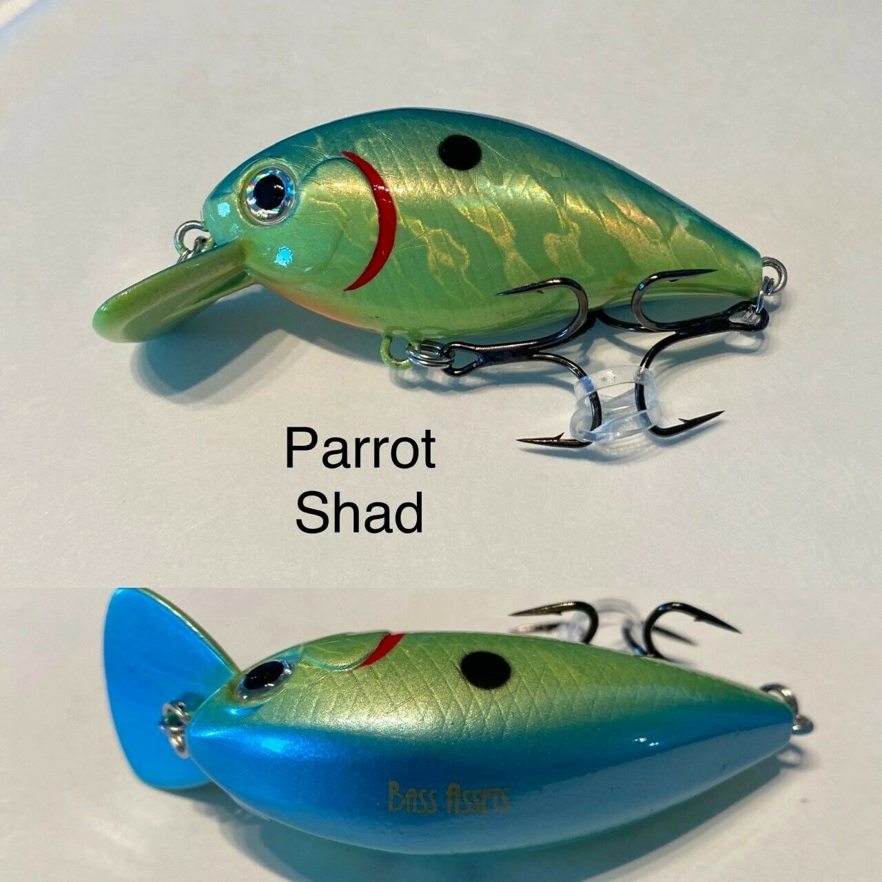 BASS ASSETS KRAKEN 5 HOLO PARROT SHAD