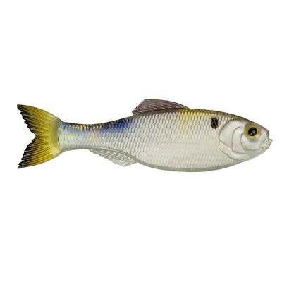 6TH SENSE PANORAMA 2.8" 4K SHAD 8PK