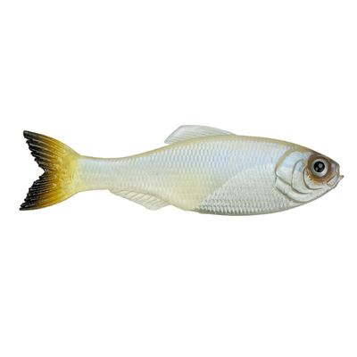 6TH SENSE PANORAMA 3.5" PRO BLUE  6PK