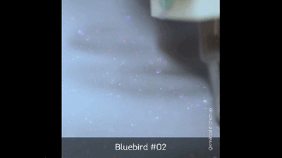 E.MiLac Twinny Bluebird #02, 9 ml.