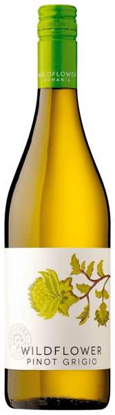Wildflower - Pinot Grigio