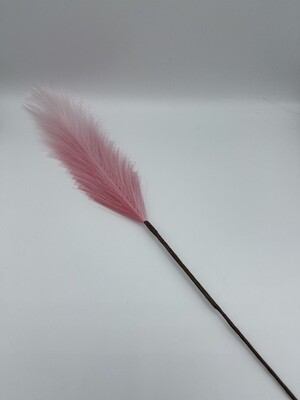 Pampas Rosa