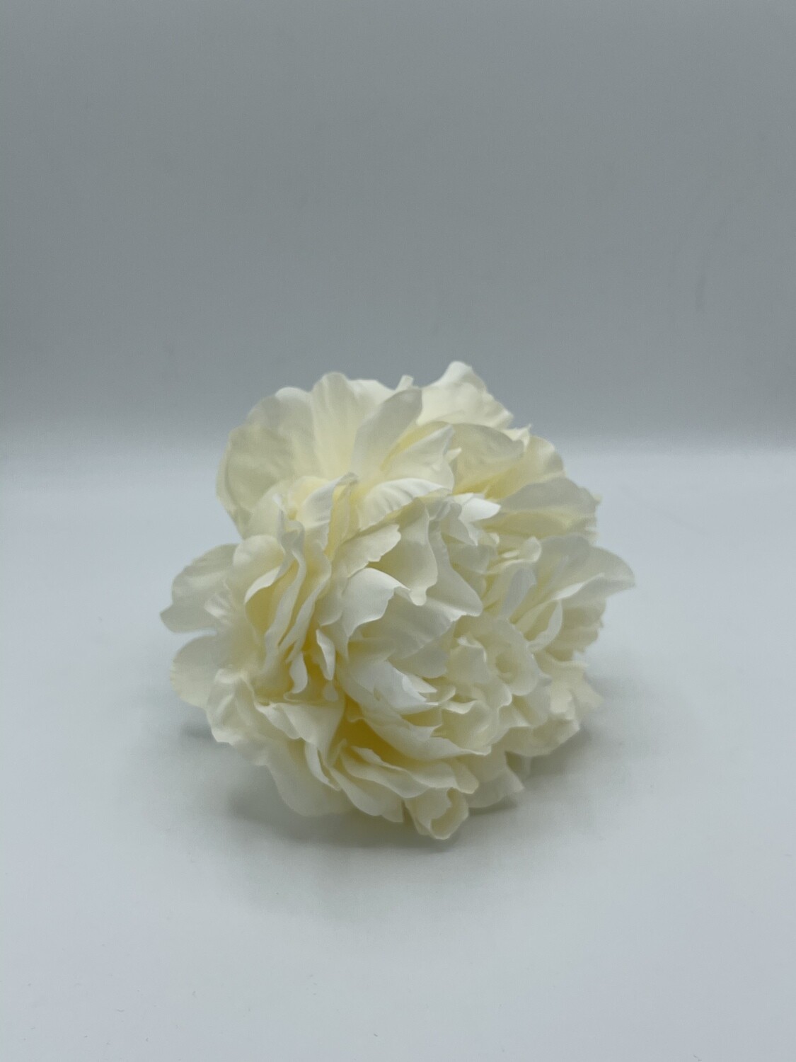 Peonia Bianca