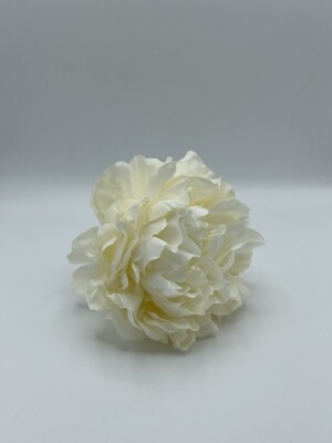 Peonia Bianca