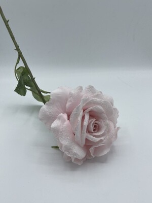 Rosa Glitterata