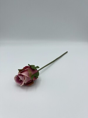 Rosa 25 cm