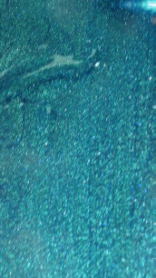 Lakier hybrydowy E.MiLac #456 Glacier Water, 9 ml