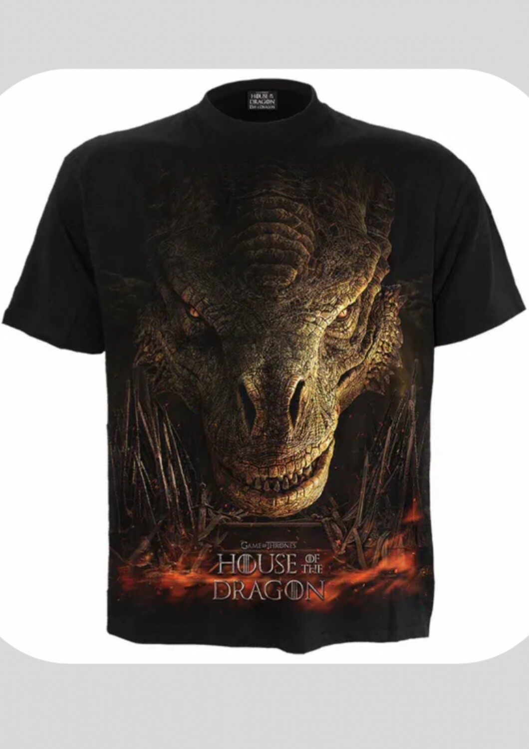 HOUSE of DRAGONS DRAGON THRONE - Spiral T-Shirt (Plus Size)
