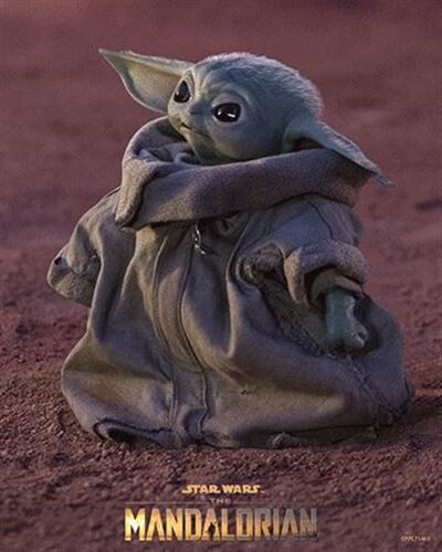 The Child Yoda The Mandalorian 3D Lenticular Picture 8” x 10”