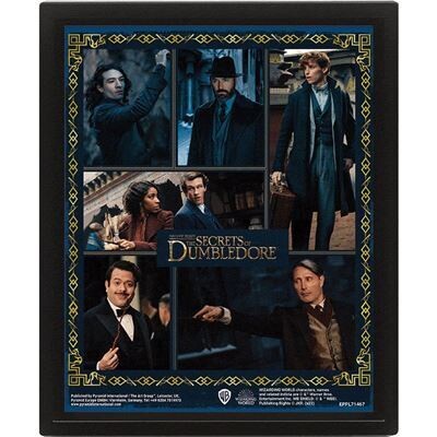 FANTASTIC BEASTS THE SECRETS OF DUMBLEDORE (CHARACTERS) - 3D FRAMED Picture 26 x 4 Inches