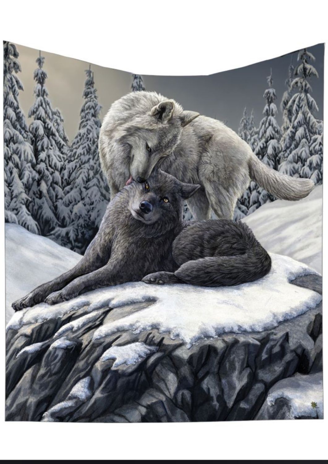Snow Kisses Wolf Throw / Fleece / Blanket  (LP) 160cm