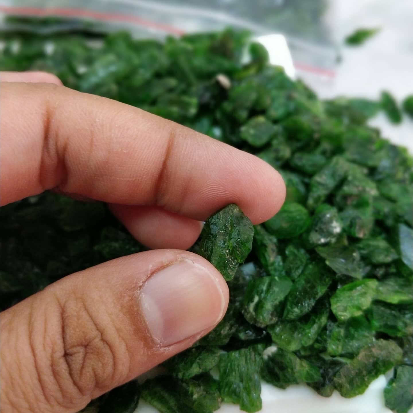 Raw Natural Green Chrome Diopside/Green Chrome Diopside Gemstone Rough/Loose Gemstone/6 mm to 18 mm/25 Pieces lot/Drilling Available