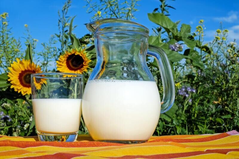 Hausmarke H-Milch 1,5 % Fett, gentechnikfrei
(12x 1,0 TETRA 16,99€) Hausmarke H-Milch 1,5 % Fett, gentechnikfrei
(12x 1,0 TETRA 16,99€)