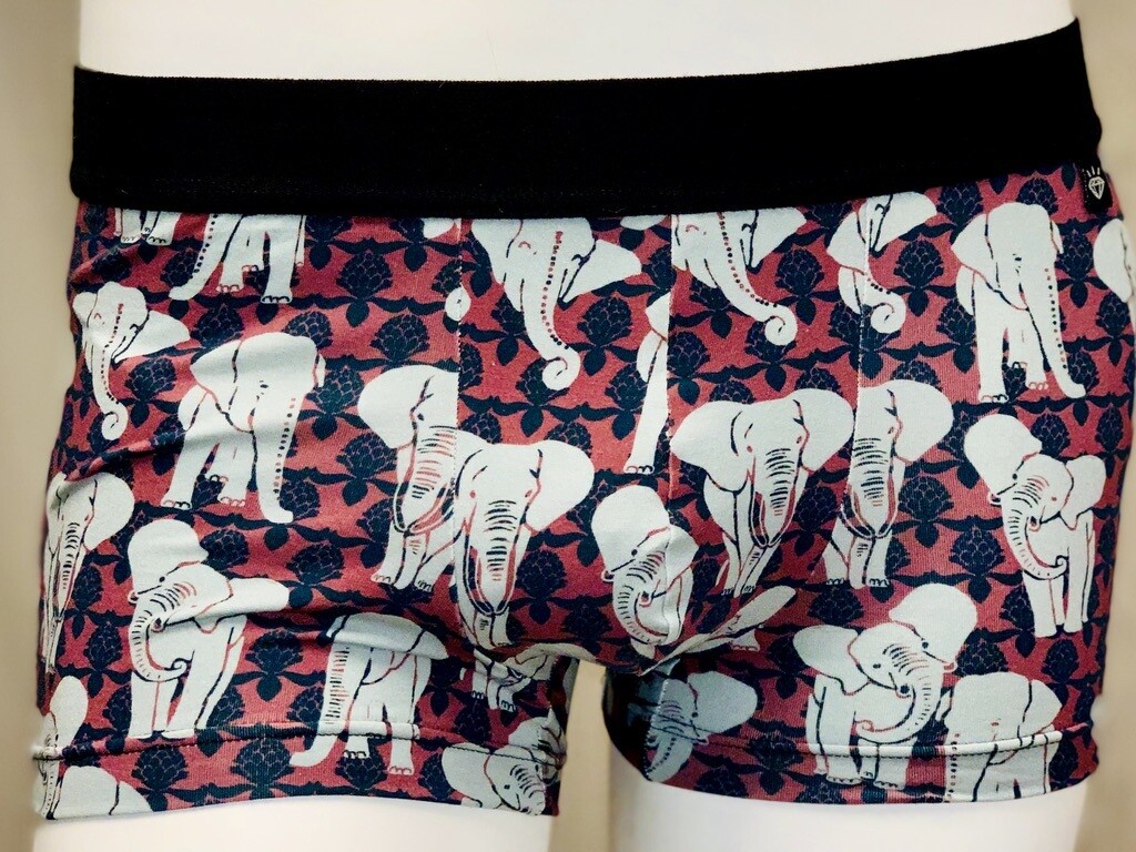 Elephants