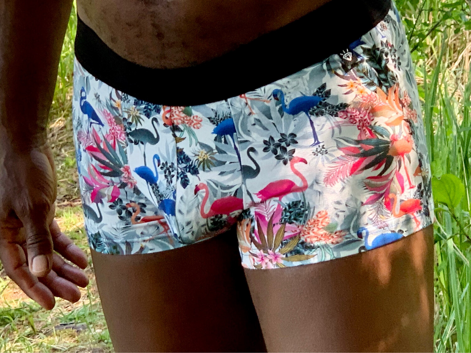 Flamingo
