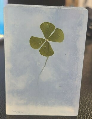 Organic Four Leaf CLover Soap Bar