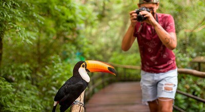 Parque das Aves em Foz do Iguaçu