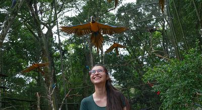 Parque das Aves em Foz do Iguaçu Parque das Aves em Foz do Iguaçu