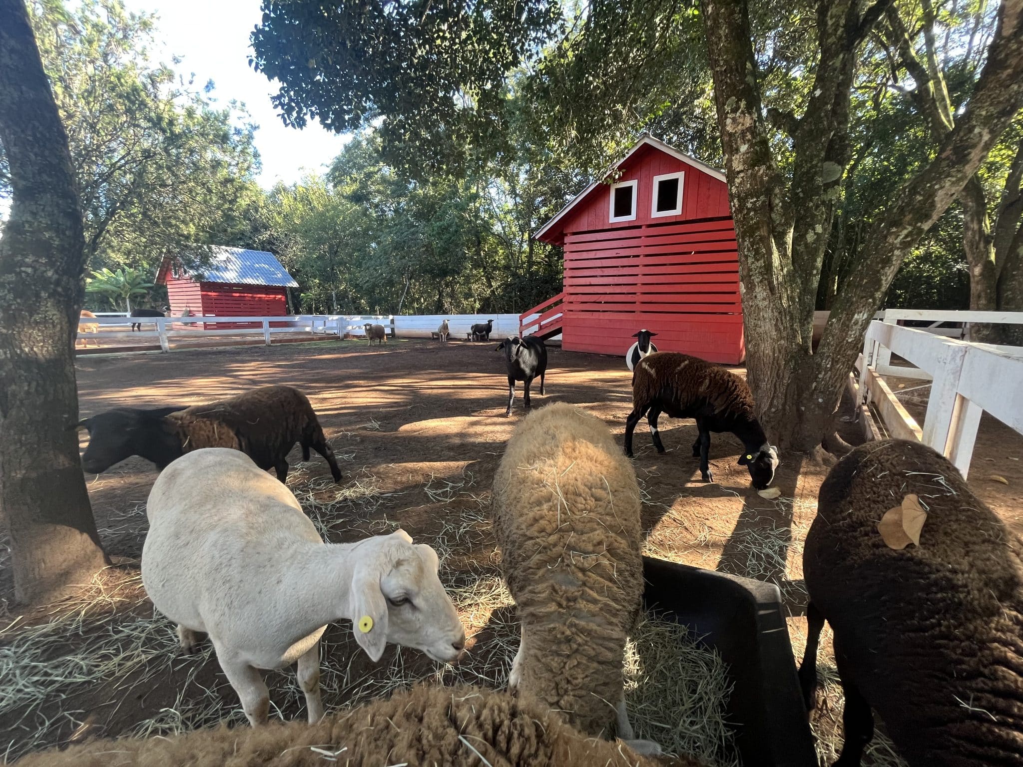 Eco Park Foz Falcoaria