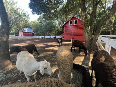 Eco Park Foz do Iguaçu