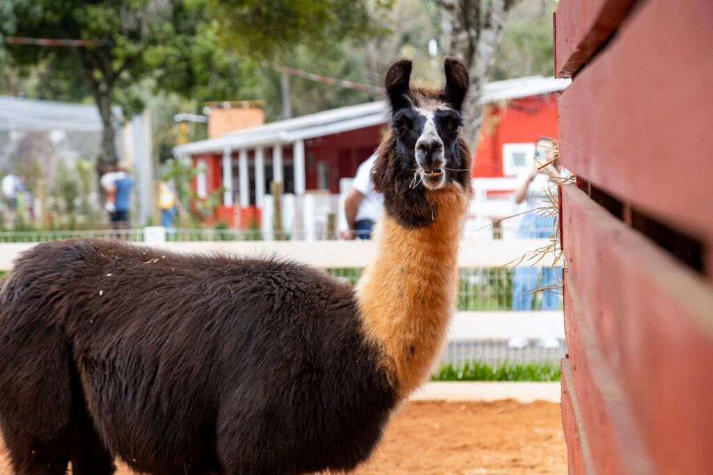 Eco Park Foz do Iguaçu