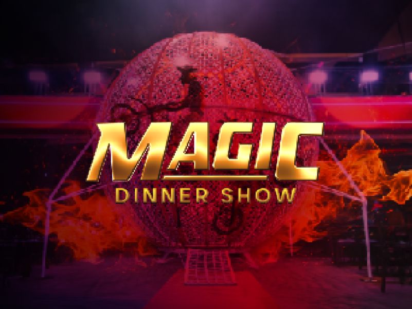 Motor Show Ingresso + Espetáculo Magic (rodízio não incluso)