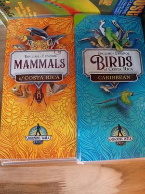 Plegables Naturaleza