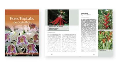 Flores Tropicales de CR Flores Tropicales de CR