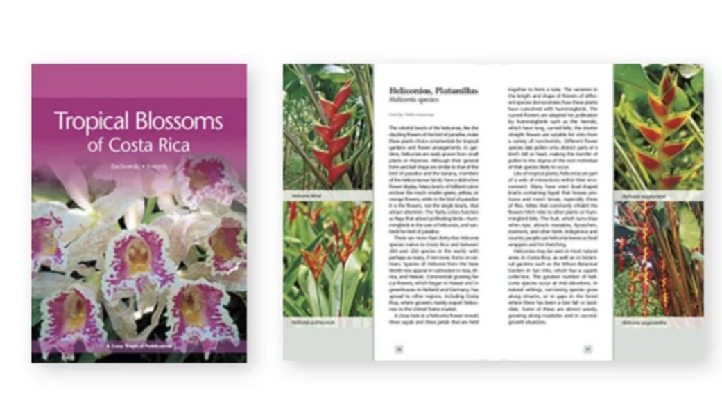 Tropical Blossoms Tropical Blossoms