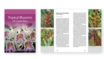 Tropical Blossoms Tropical Blossoms