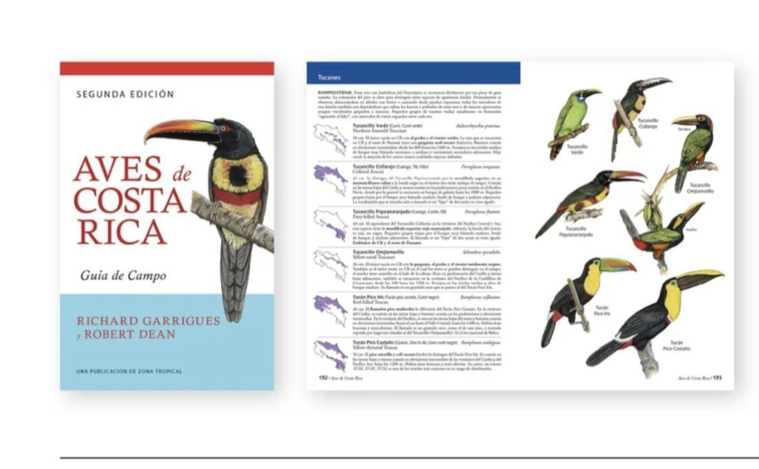 The birds of CR The birds of CR