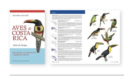 The birds of CR The birds of CR