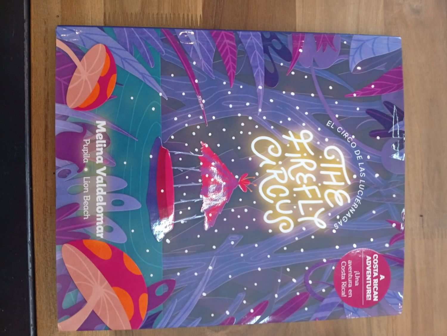 Libro de Luciérnagas Libro de Luciérnagas