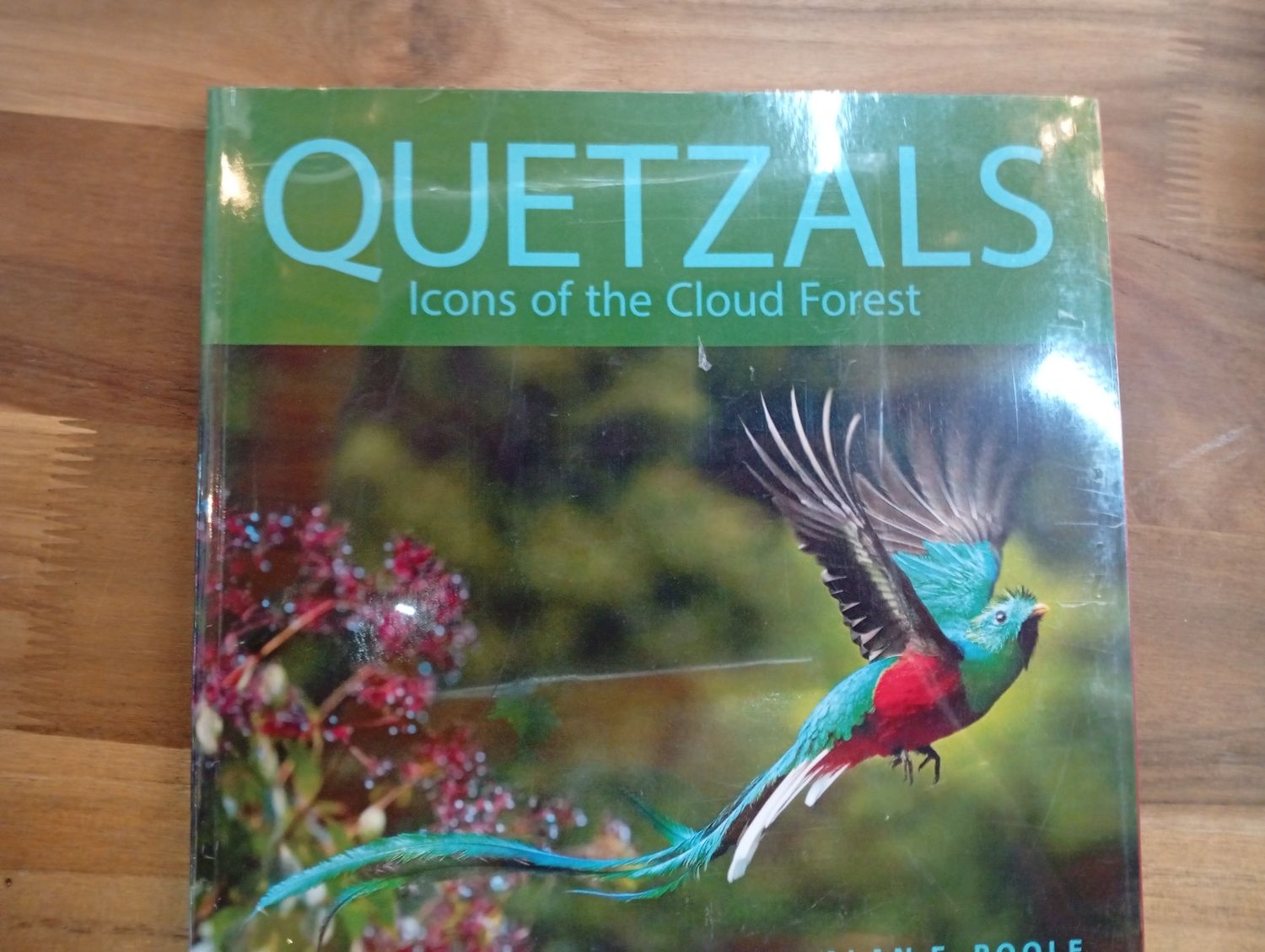 Quetzal icons