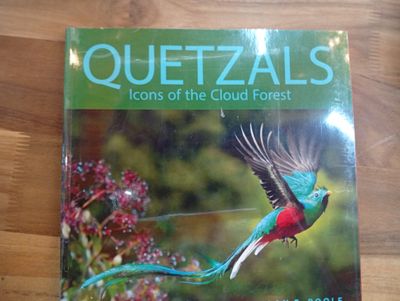 Quetzal icons Quetzal icons