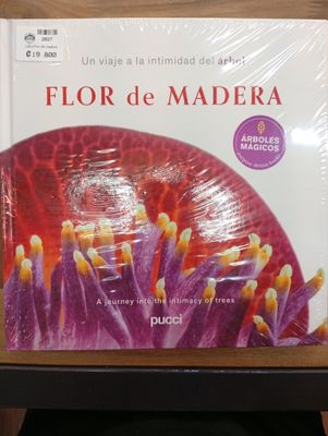 Flor de Madera Flor de Madera