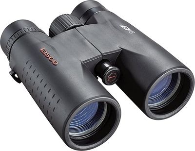 8x42