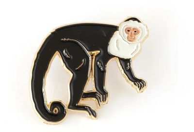 Pin Mono