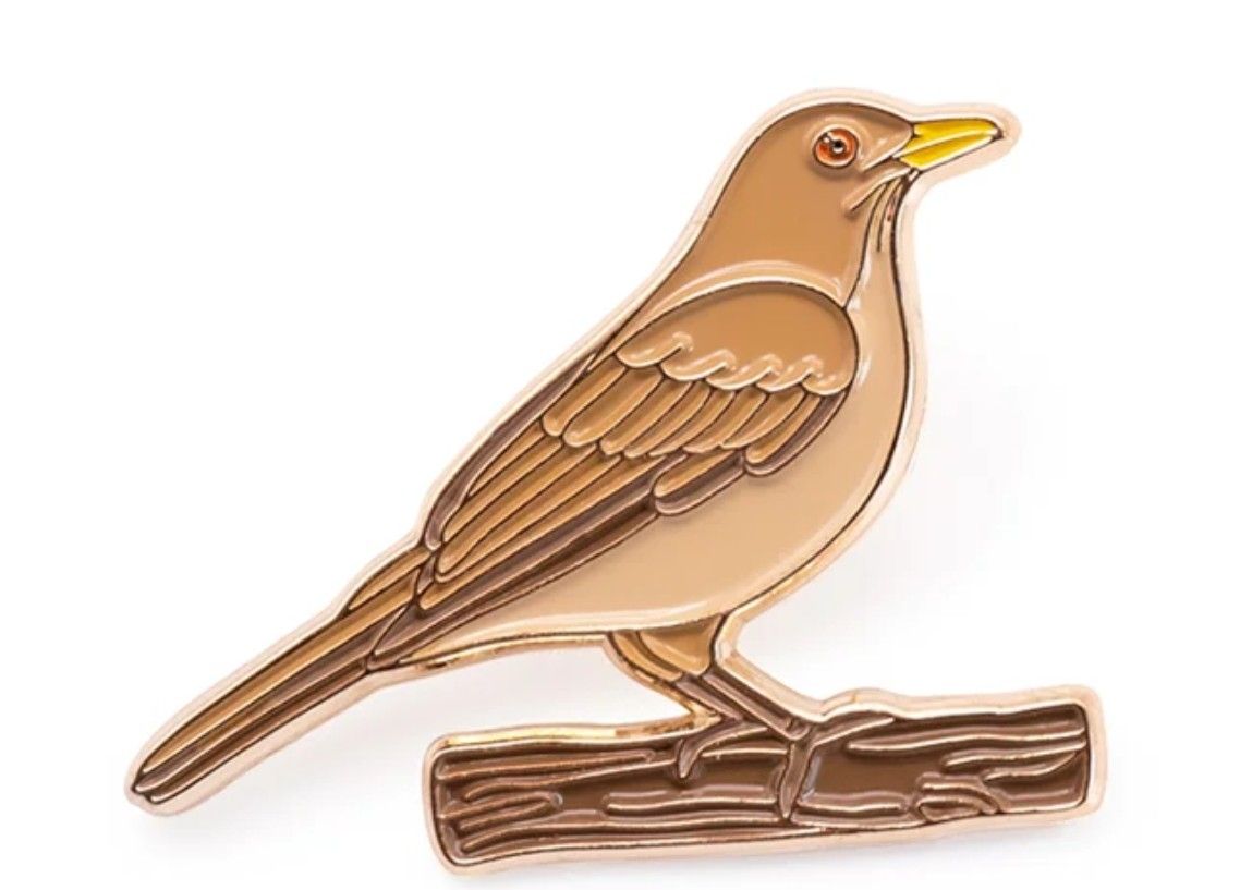 Pin Yigüirro