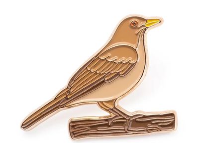 Pin Yigüirro