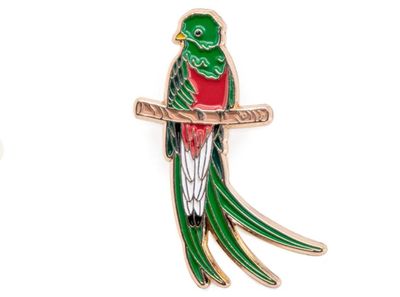 Pin Quetzal